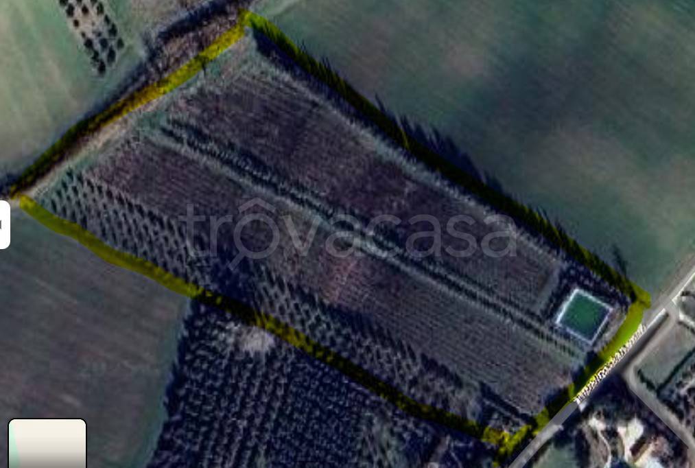 terreno agricolo in vendita a Monte San Vito