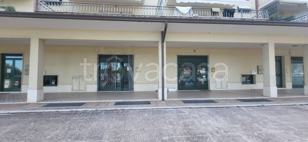 negozio in vendita a Monte San Vito in zona Borghetto