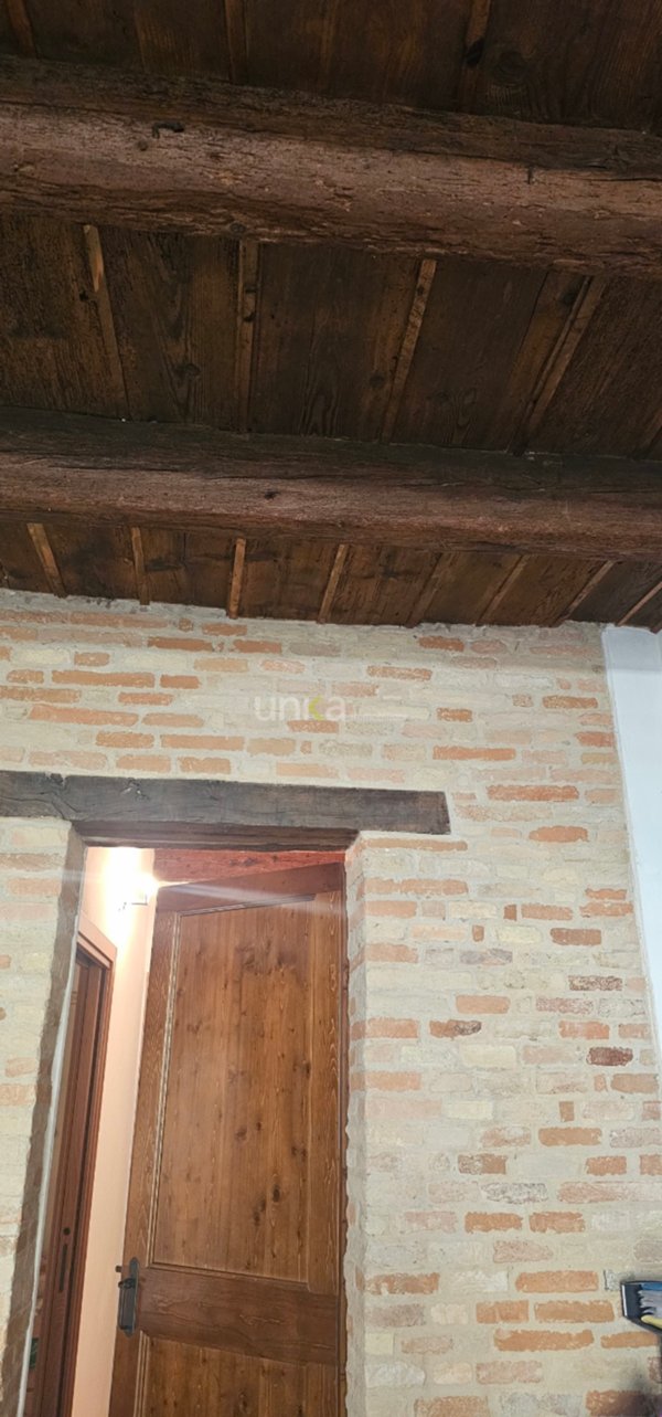 appartamento in vendita a Monte San Vito