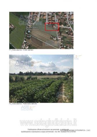 terreno agricolo in vendita a Monte San Vito in zona Borghetto