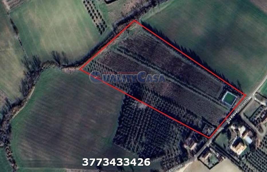 terreno agricolo in vendita a Monte San Vito