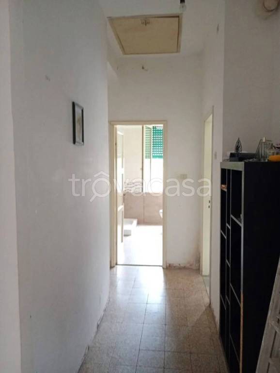 appartamento in vendita a Monte San Vito