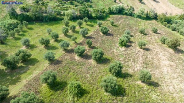 casa indipendente in vendita a Monte San Vito