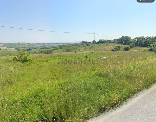 terreno agricolo in vendita a Monte San Vito in zona Santa Lucia