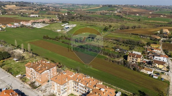 terreno agricolo in vendita a Monte San Vito in zona Borghetto