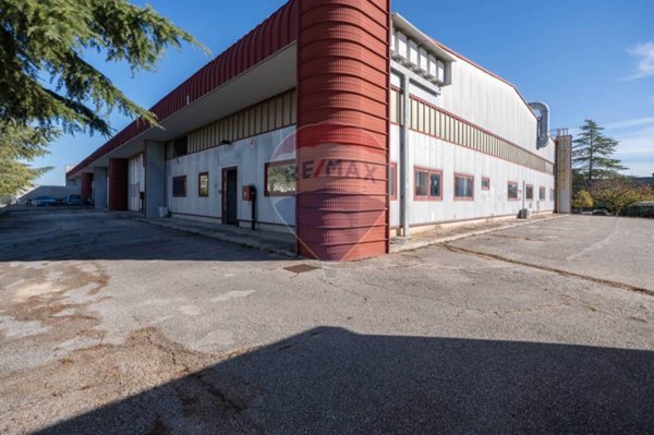 locale commerciale in vendita a Monte San Vito in zona Borghetto