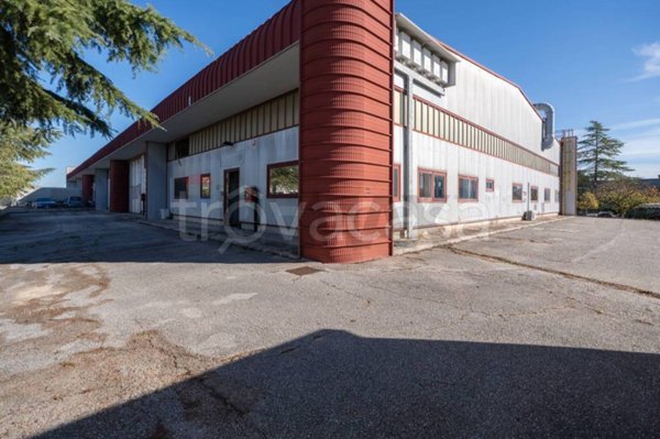 locale commerciale in vendita a Monte San Vito in zona Borghetto