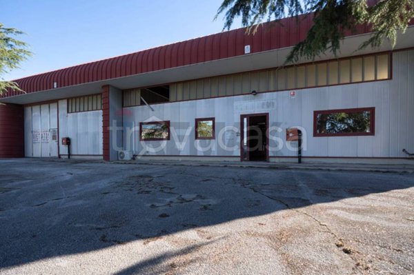 locale commerciale in vendita a Monte San Vito in zona Borghetto