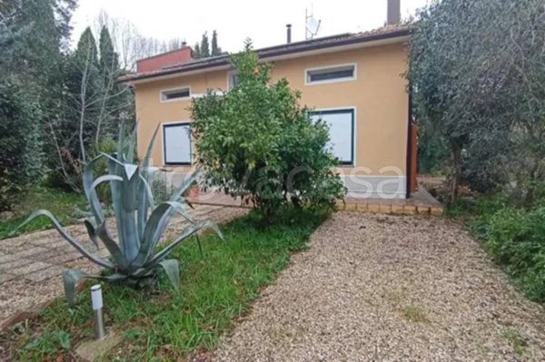 appartamento in vendita a Monte San Vito