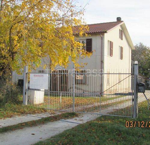 appartamento in vendita a Monte San Vito