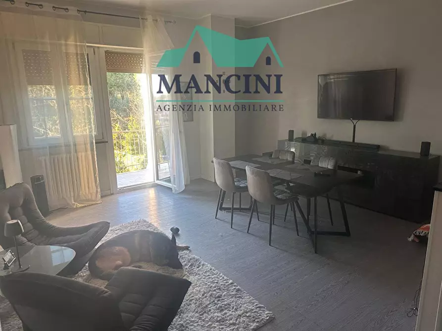 appartamento in vendita a Monte San Vito