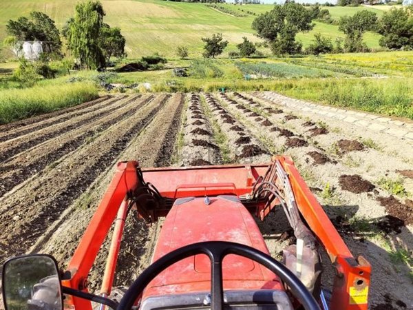 azienda agricola in vendita a Monte San Vito