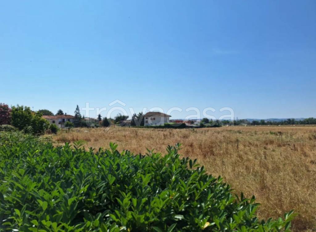 terreno agricolo in vendita a Monte San Vito in zona Borghetto