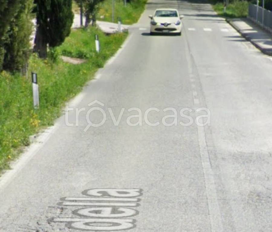 terreno agricolo in vendita a Monte San Vito