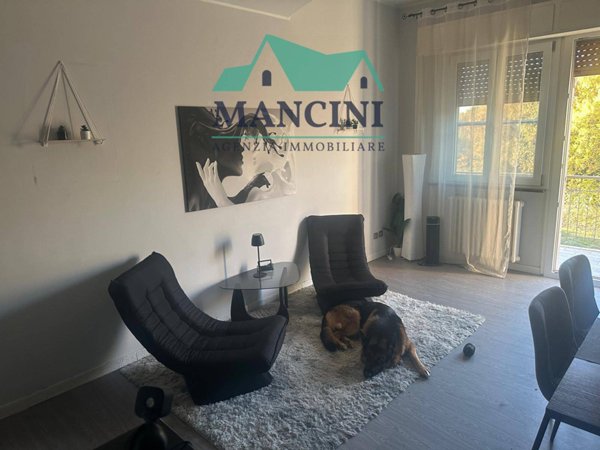 appartamento in vendita a Monte San Vito