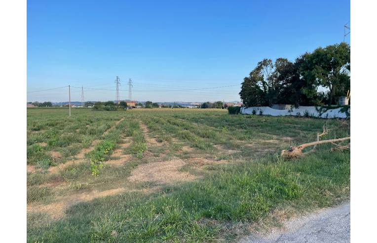 terreno agricolo in vendita a Monte San Vito in zona Borghetto