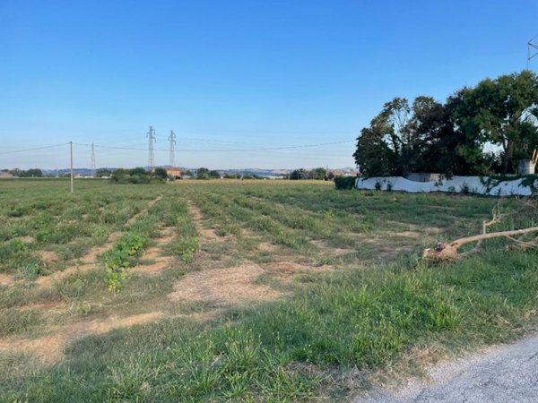 terreno agricolo in vendita a Monte San Vito in zona Borghetto