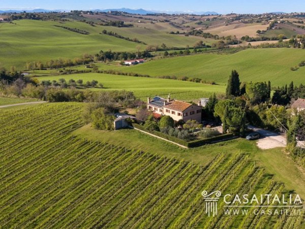 casa indipendente in vendita a Monte San Vito