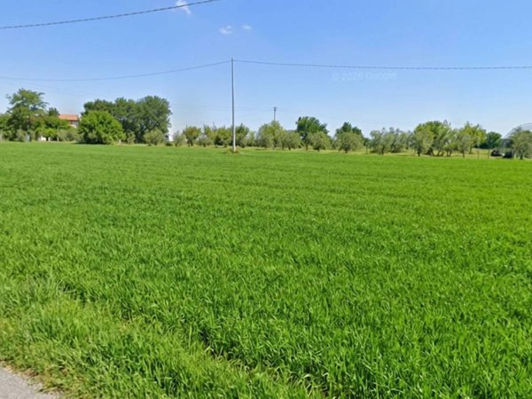 terreno agricolo in vendita a Monte San Vito in zona Borghetto