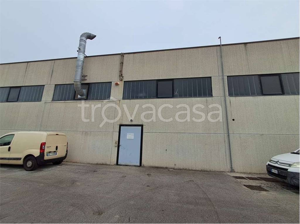 appartamento in vendita a Monte San Vito