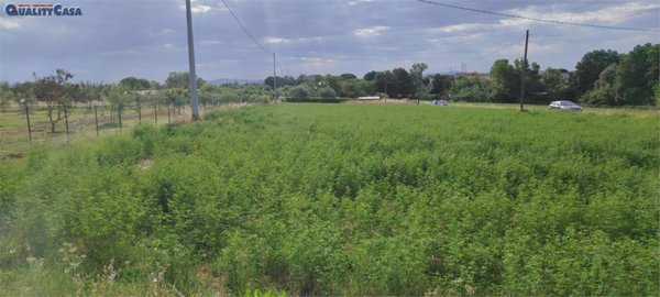 terreno agricolo in vendita a Monte San Vito in zona Le Cozze