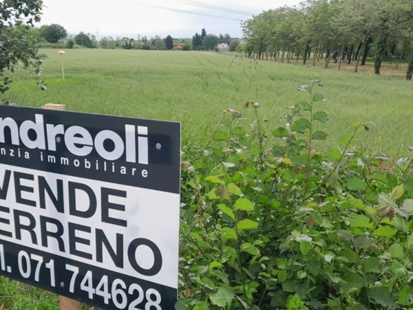 terreno agricolo in vendita a Monte San Vito in zona Santa Lucia