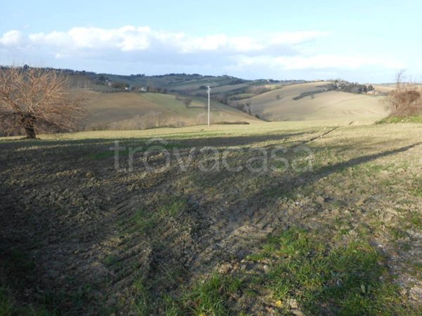 ufficio in vendita a Morro d'Alba in zona Sant'Amico