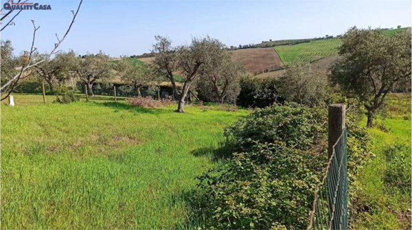 terreno agricolo in vendita a Morro d'Alba in zona Santa Maria