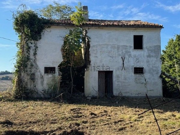 casale in vendita a Morro d'Alba