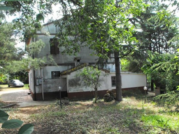 pentavano in vendita a Morro d'Alba