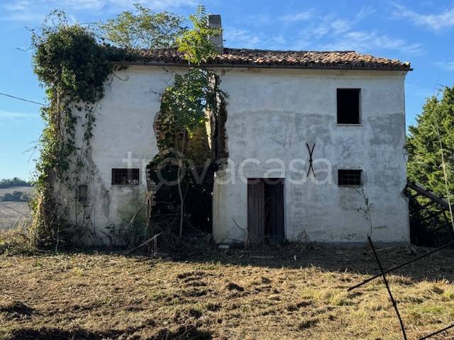 casa indipendente in vendita a Morro d'Alba