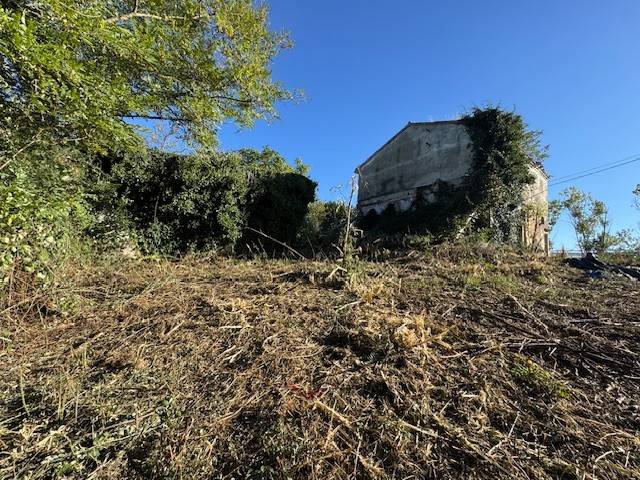 casa indipendente in vendita a Morro d'Alba