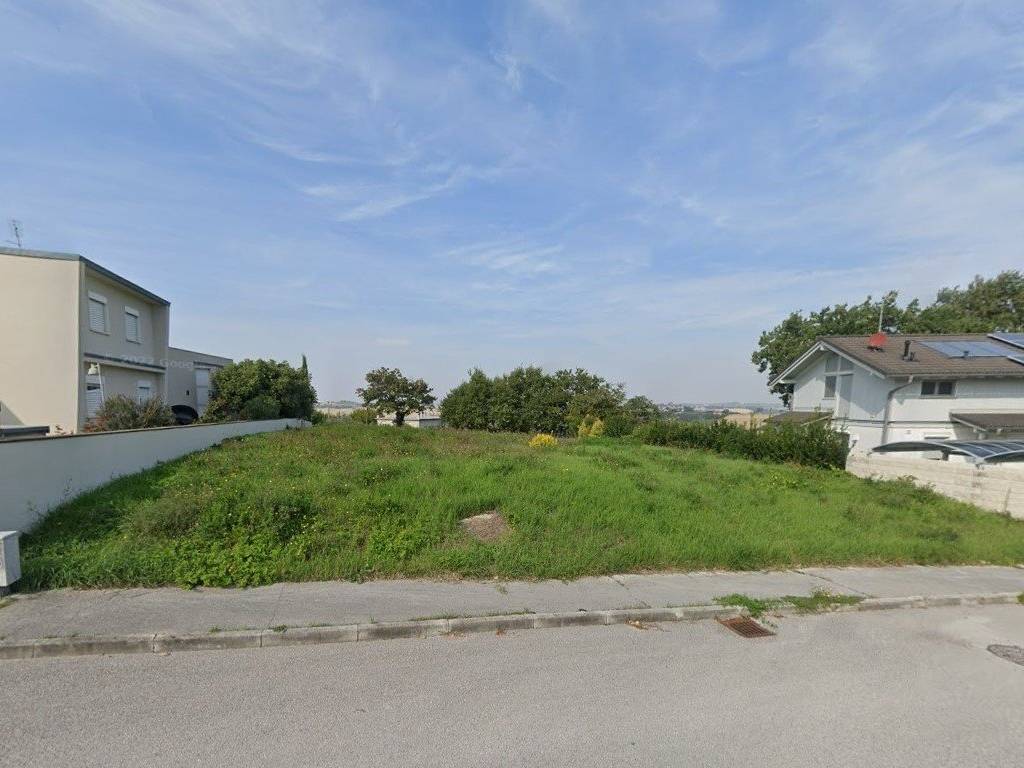 terreno agricolo in vendita a Morro d'Alba