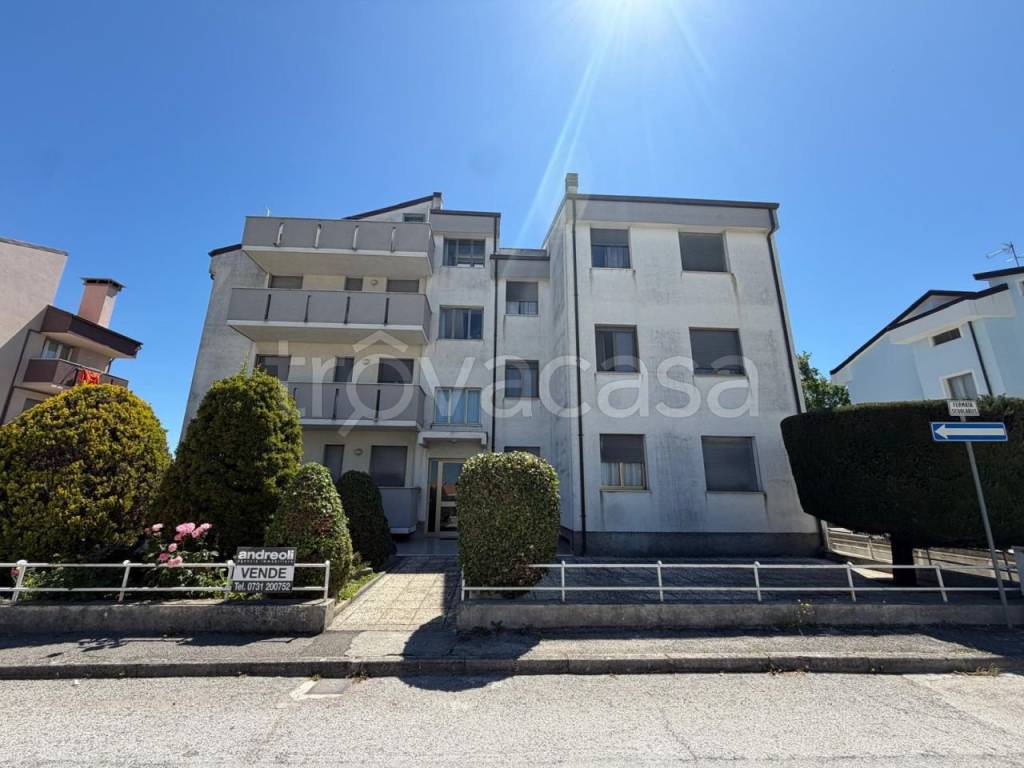 appartamento in vendita a Morro d'Alba
