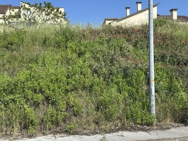 casa indipendente in vendita a Morro d'Alba in zona Sant'Amico
