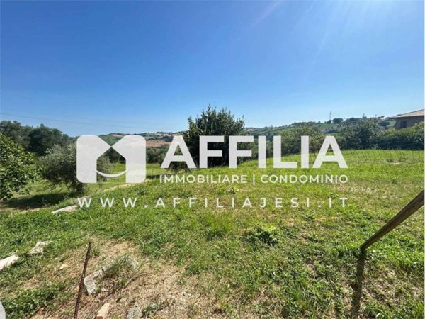 casa indipendente in vendita a Morro d'Alba