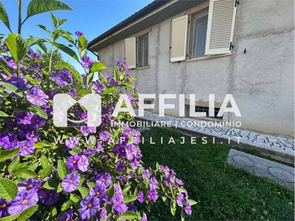 casa indipendente in vendita a Morro d'Alba