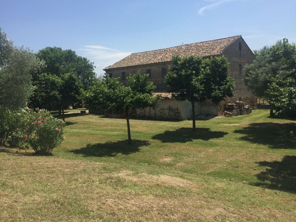 casa indipendente in vendita a Morro d'Alba in zona Sant'Amico