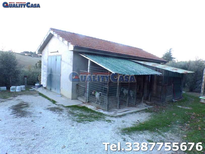 terreno agricolo in vendita a Morro d'Alba in zona Santa Maria