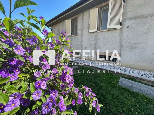 casa indipendente in vendita a Morro d'Alba in zona Santa Maria
