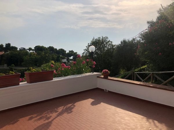 appartamento in vendita a Numana