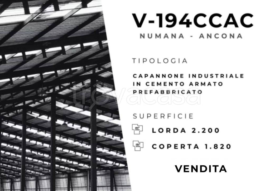 capannone in vendita a Numana