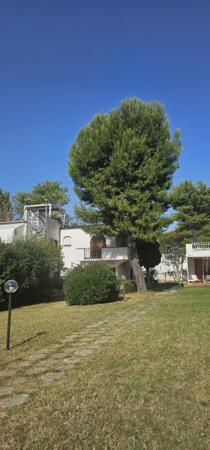 appartamento in vendita a Numana in zona Taunus