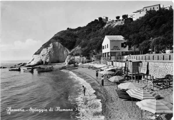 appartamento in vendita a Numana