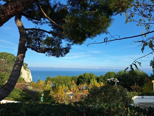 casa indipendente in vendita a Numana