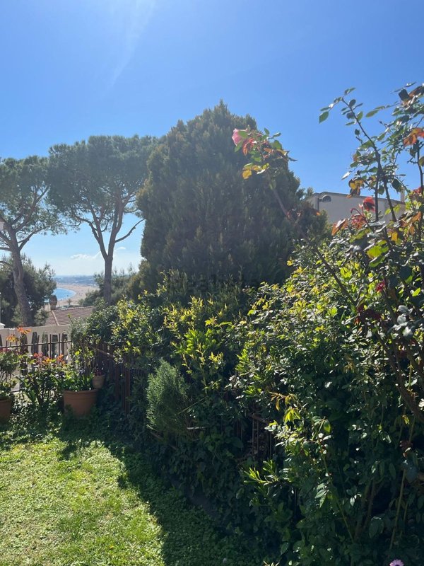 appartamento in vendita a Numana