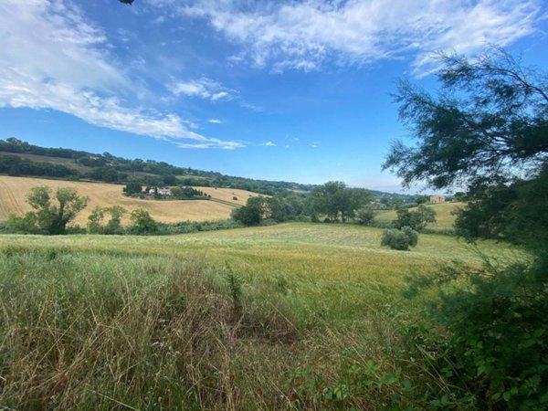 terreno agricolo in vendita ad Offagna
