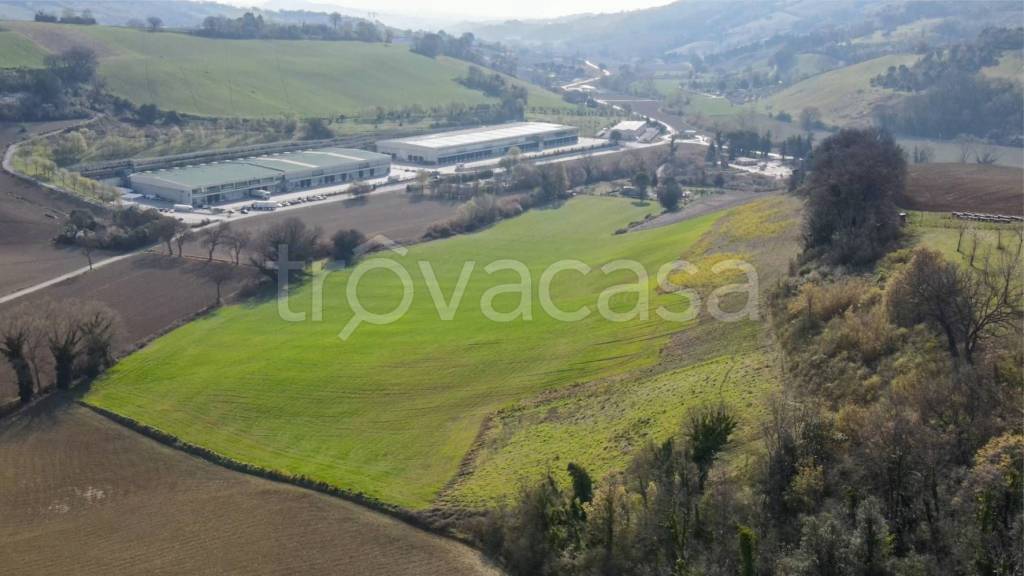 terreno agricolo in vendita ad Offagna