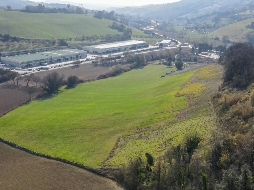 terreno agricolo in vendita ad Offagna