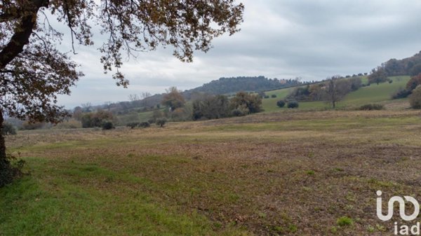 casa indipendente in vendita ad Offagna